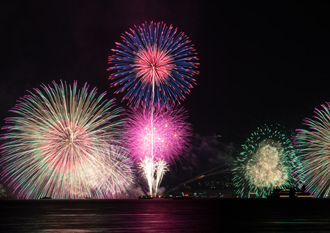 2016琵琶湖花火大会矢橋帰帆島公園より