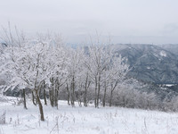 予想外の大雪で・・・②