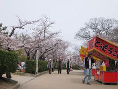 うどんの聖地へ