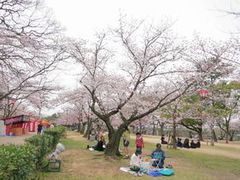 うどんの聖地へ