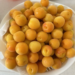 梅干し漬けました。