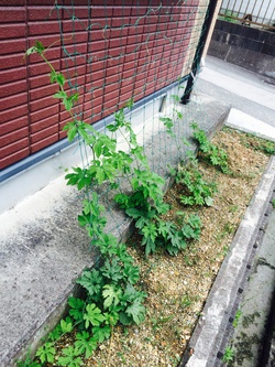 2014.6.23