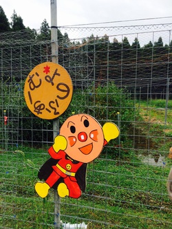 ブルーベリー狩り。
