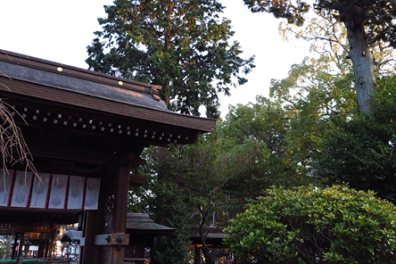水口神社・初詣[写真]