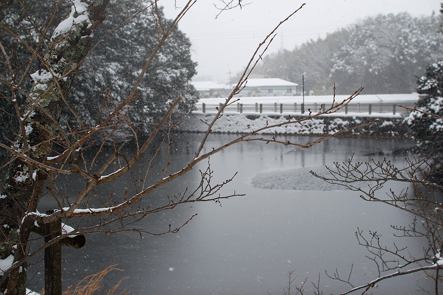 2017年1月15・16日の大雪の様子と記録・写真画像集（滋賀県甲賀市水口町）