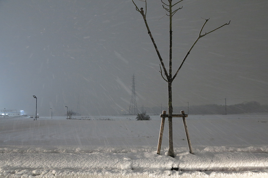 2017年1月15・16日の大雪の様子と記録・写真画像集（滋賀県甲賀市水口町）