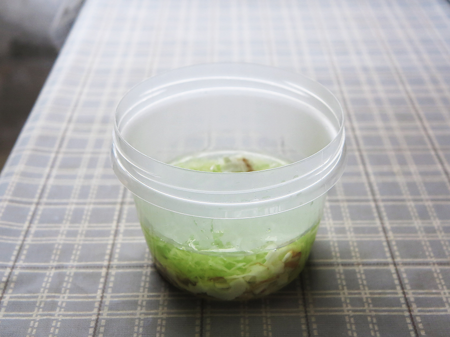 レンジで簡単！新食感のタマゴポータジュふわとろスープ[お腹にやさしい？ごはんレシピ・１回目]