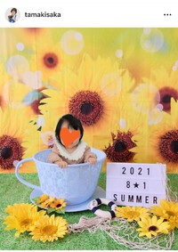 7/26講座『つどいの思い出、写真撮影会』