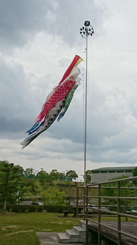 5月のスケジュール