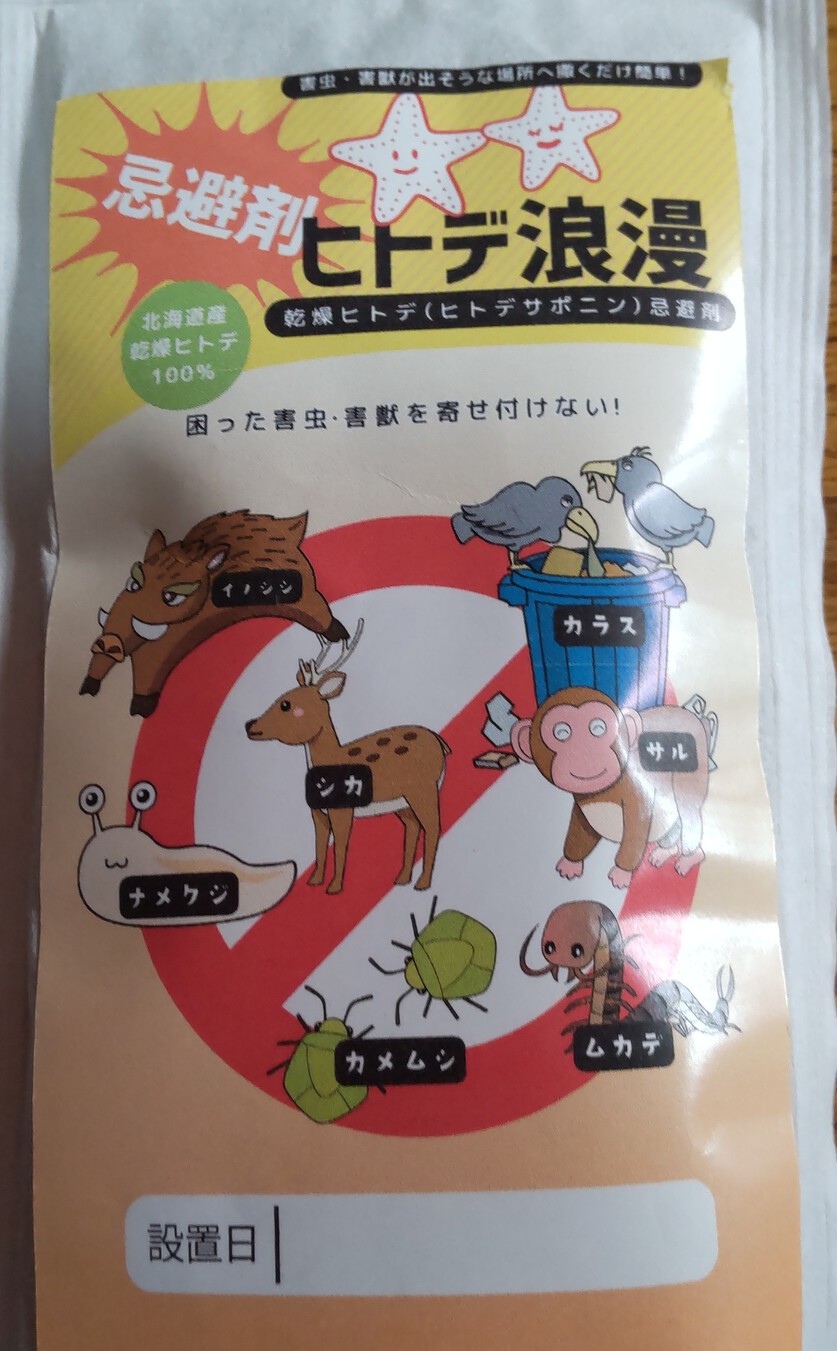 人でなし？ヒトデありです！