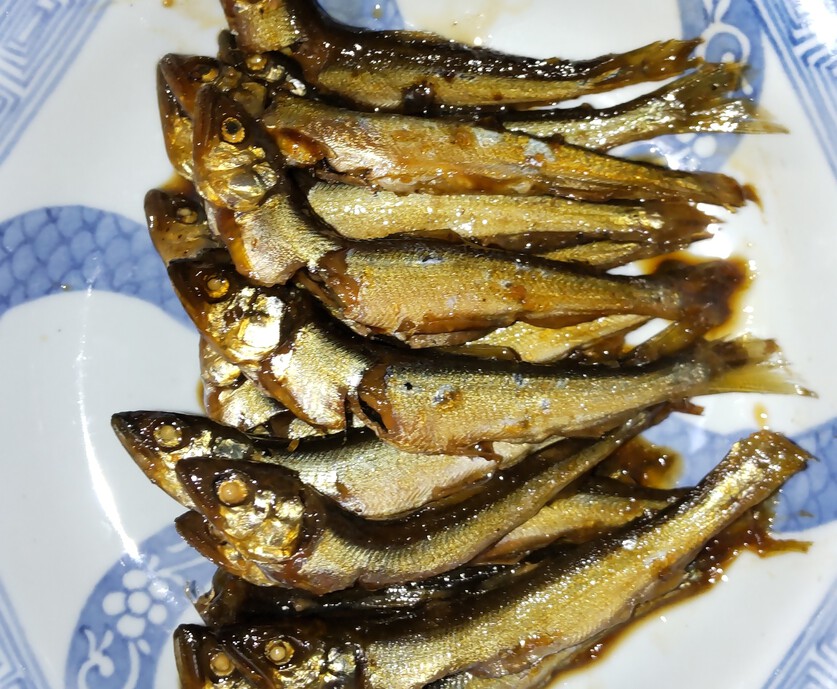 もう少しで収穫、小鮎美味しく・・・