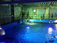 串本海中公園