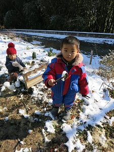１月１０日、１月１７日とんとん山で活動しました