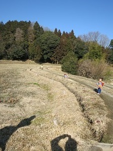 １月２４日とんとん山で活動しました