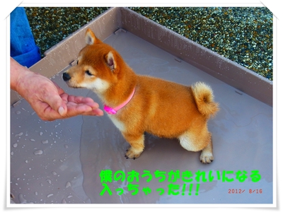 mizu