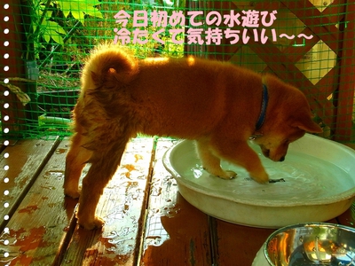 2012年8月　その2　水遊び