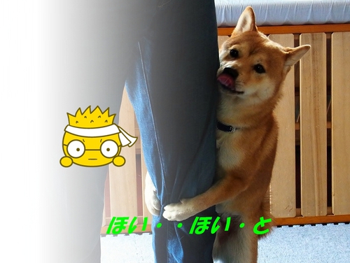 ga