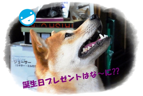 プレ