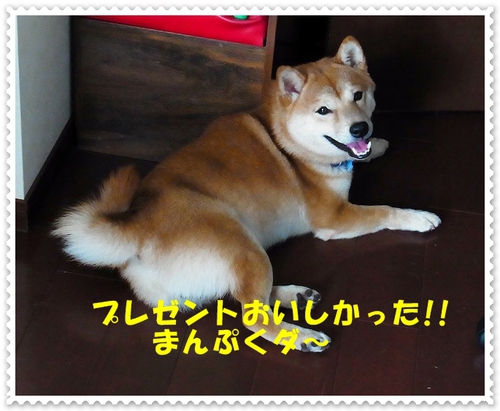 1歳になりました