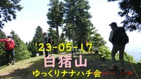 '23-05-17 白猪山　ゆっくり山行