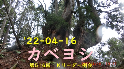 22-04-16 カベヨシ　第516回　Kリーダー例会