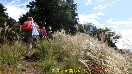 22-09-29 北打山・小平山・旗山　綾野山歩会