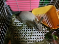 完食!!