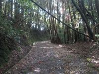 地球沸騰化？