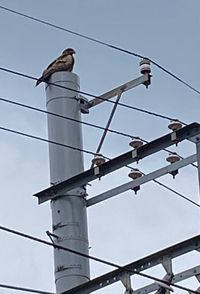 冬季五輪に思う
