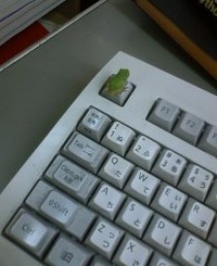お盆休みのお知らせ