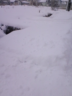 雪凄すぎて