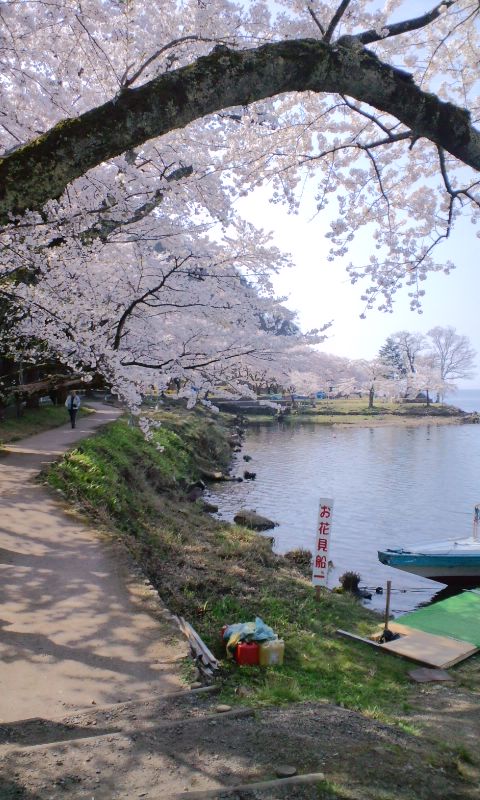 疲れた～昨日は日曜日