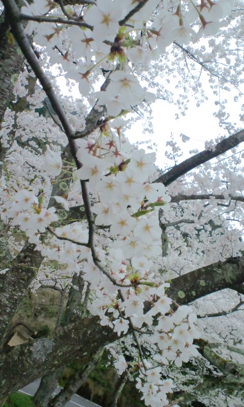お久しぶりです～