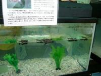 海づくり大会③