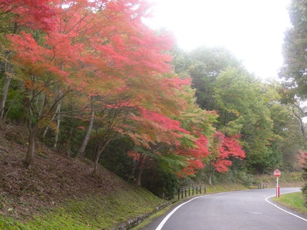 紅葉真っ只中