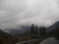 鈴鹿日本コバに遊ぶ