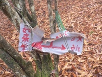 鈴鹿日本コバに遊ぶ