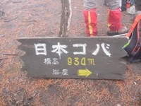 鈴鹿日本コバに遊ぶ