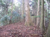 鈴鹿日本コバに遊ぶ