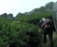 南アルプス　鳳凰三山