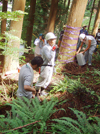 木の伐採見学と森の仕事体験①　木の伐採見学