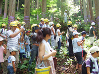 木の伐採見学と森の仕事体験①　木の伐採見学