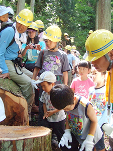 木の伐採見学と森の仕事体験①　木の伐採見学