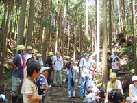木の伐採見学と森の仕事体験②　間伐体験