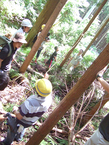 木の伐採見学と森の仕事体験②　間伐体験