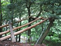 6月の作業日の内容