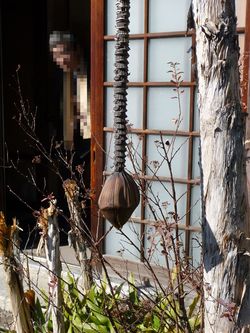 珍しいもの発見・・・？　①