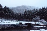 高島トレイルを歩く・・・⑧