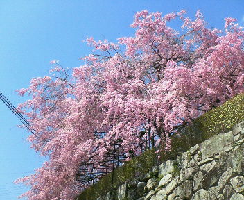 つづき。