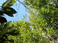 湯けむりケムリ（宝船温泉の巻⑥）